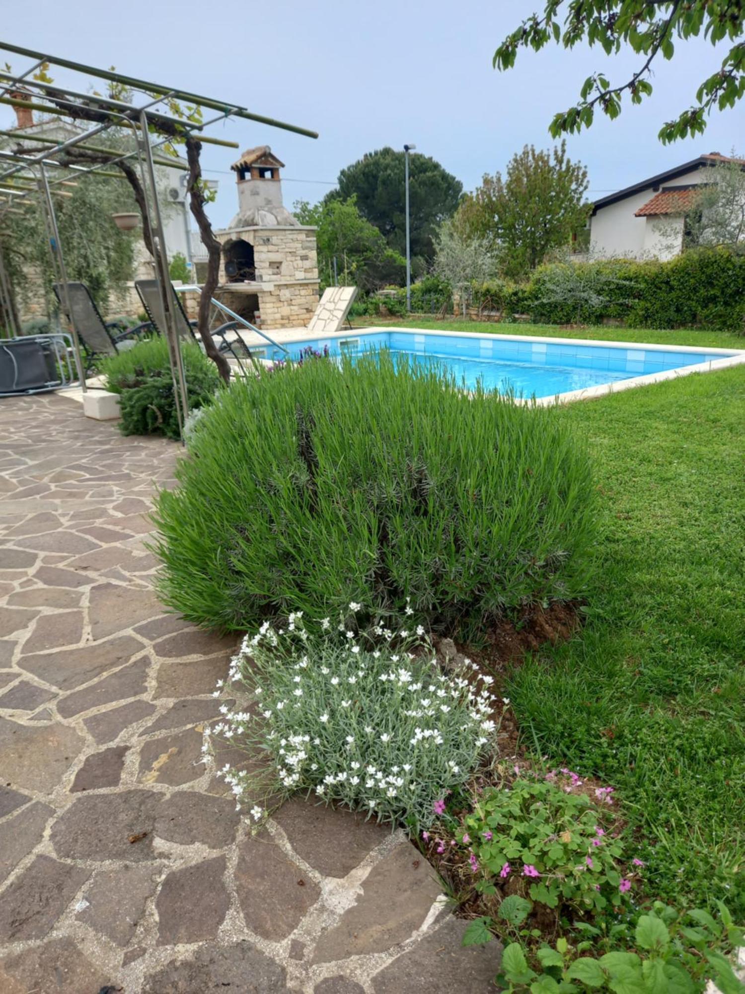 Apartment Leone *