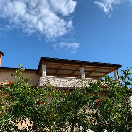 Apartments Leone Brtonigla Exterior foto