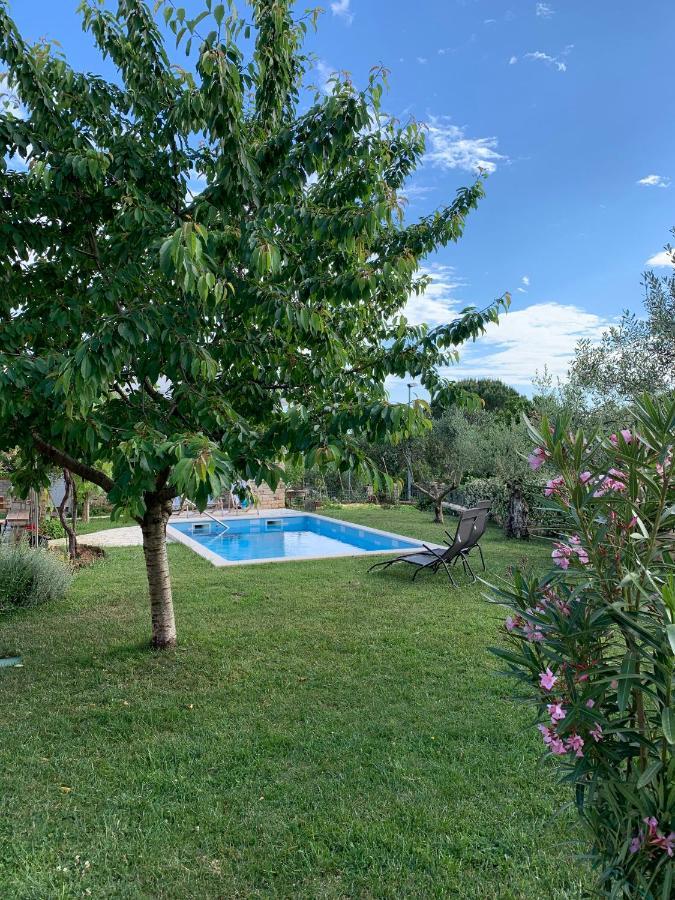 Appartement Leone *